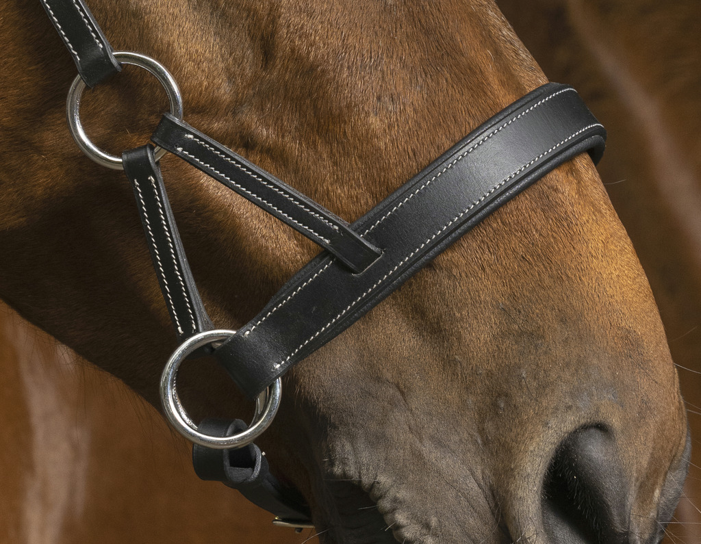 Side-pull NORTON PRO "Confort"