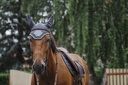 Bonnet chasse mouche EQUITHEME "Domino"