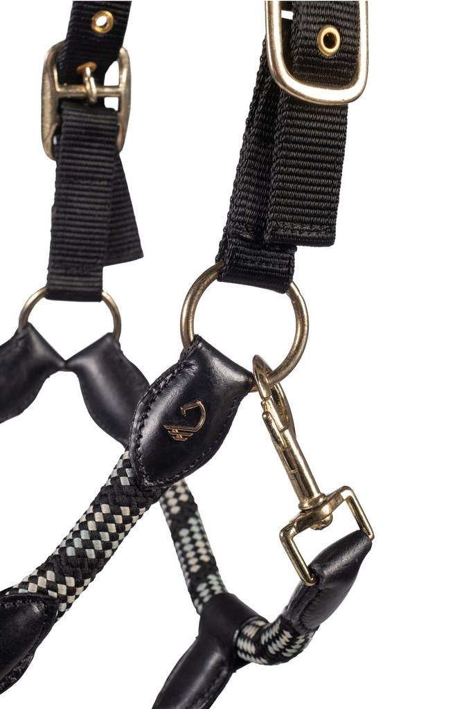 Licol -Limone Sportive- - Noir (2)