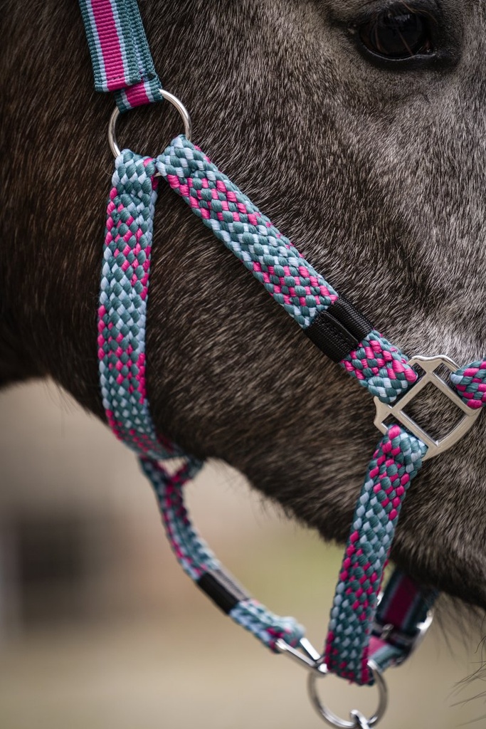 Licol -Manchester- - Rose foncé/pétrole (3)