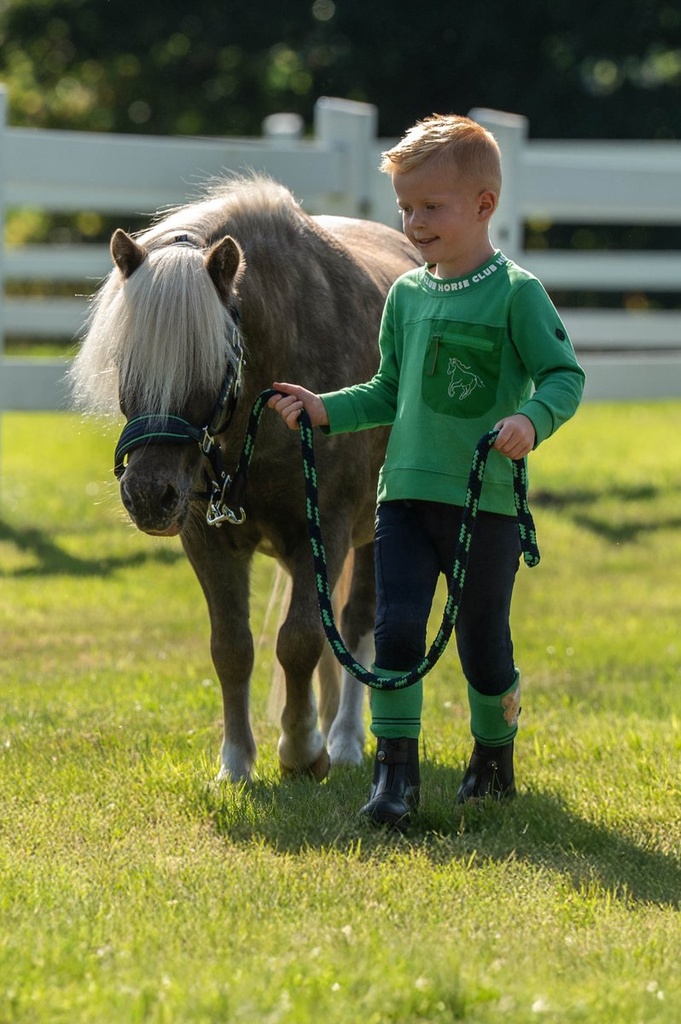 Licol -Maui- pour shettys - Bleu foncé (2)
