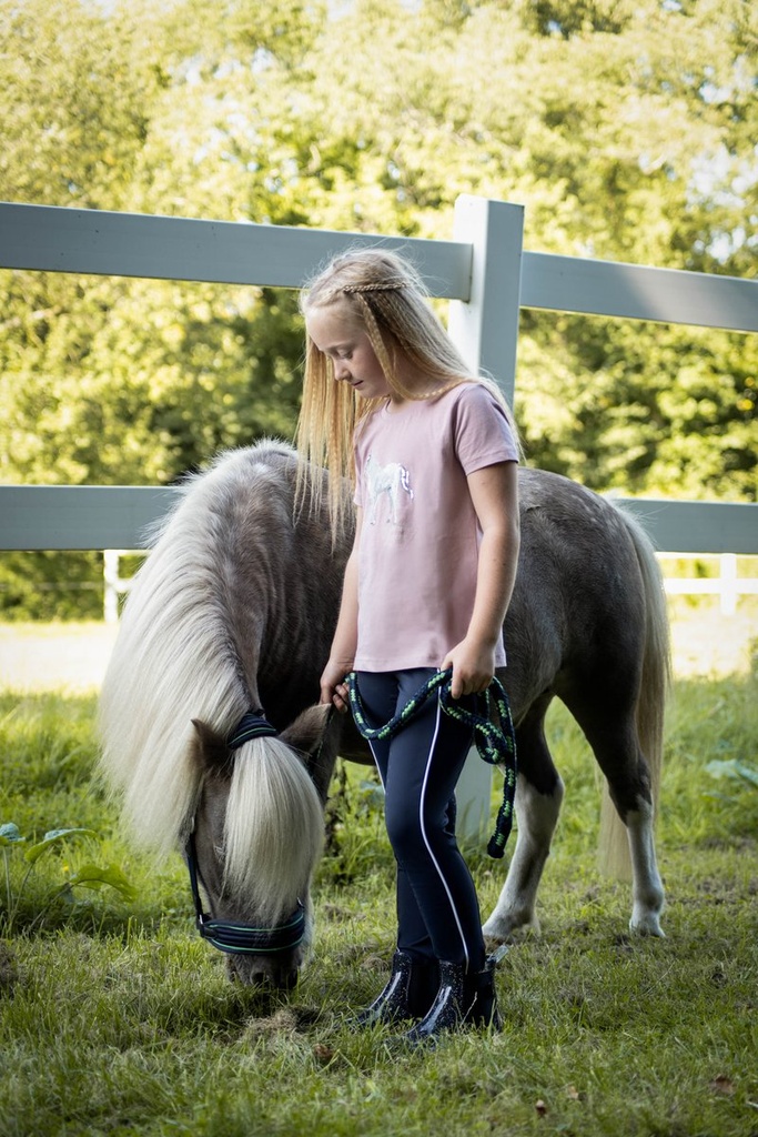 Licol -Maui- pour shettys - Bleu foncé (6)