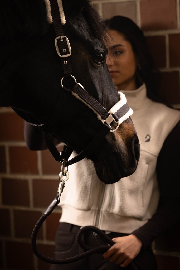 Licol -Arezzo- - Marron foncé (2)