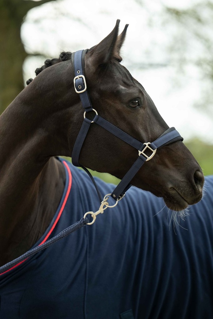 Licol -Samantha- - Bleu foncé (3)