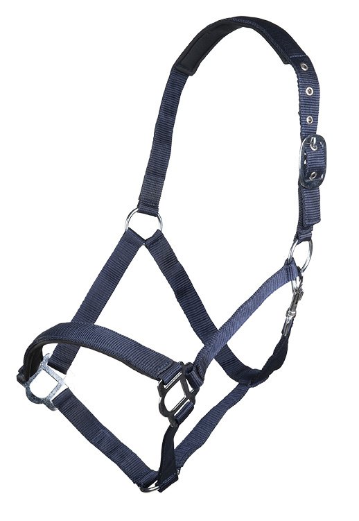 Licol -Sydney- Style - Bleu foncé