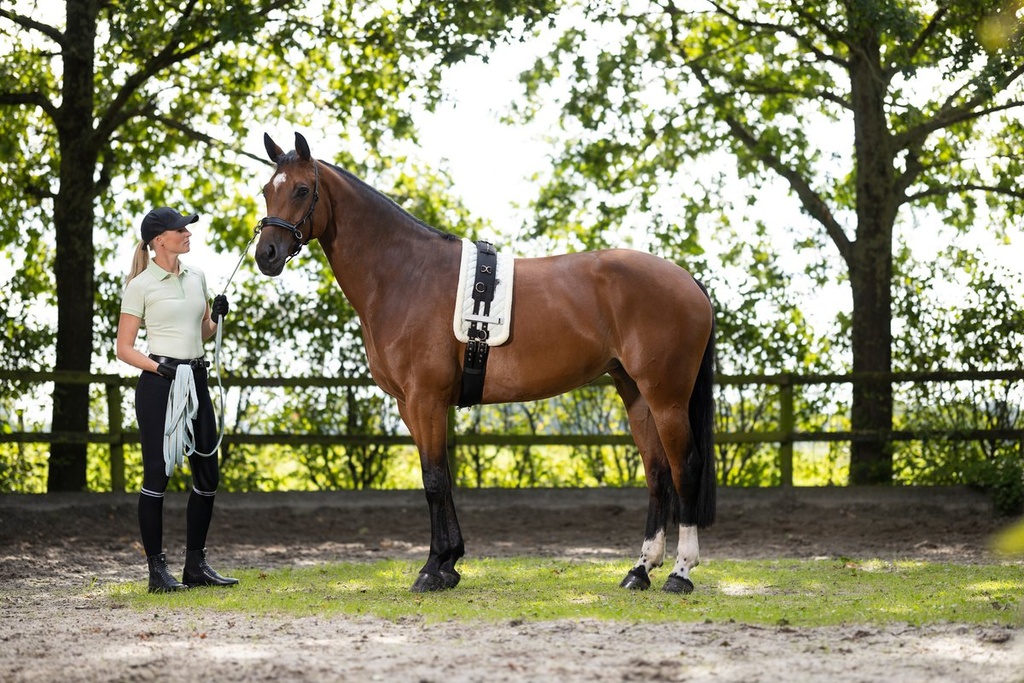Longe de travail -Catherine- - Vert/bleu (2)
