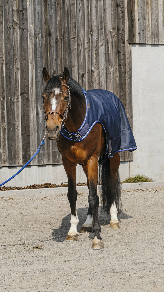 Chemise marcheur EQUITHÈME "Classic 1200D"