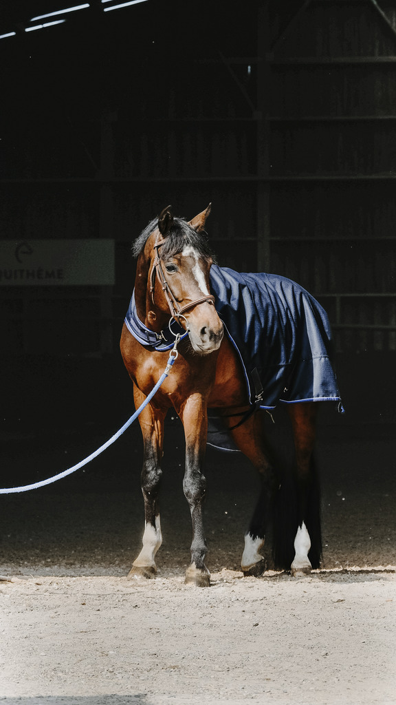 Chemise marcheur EQUITHÈME "Classic 1200D"