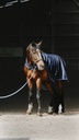 Chemise marcheur EQUITHÈME "Classic 1200D"