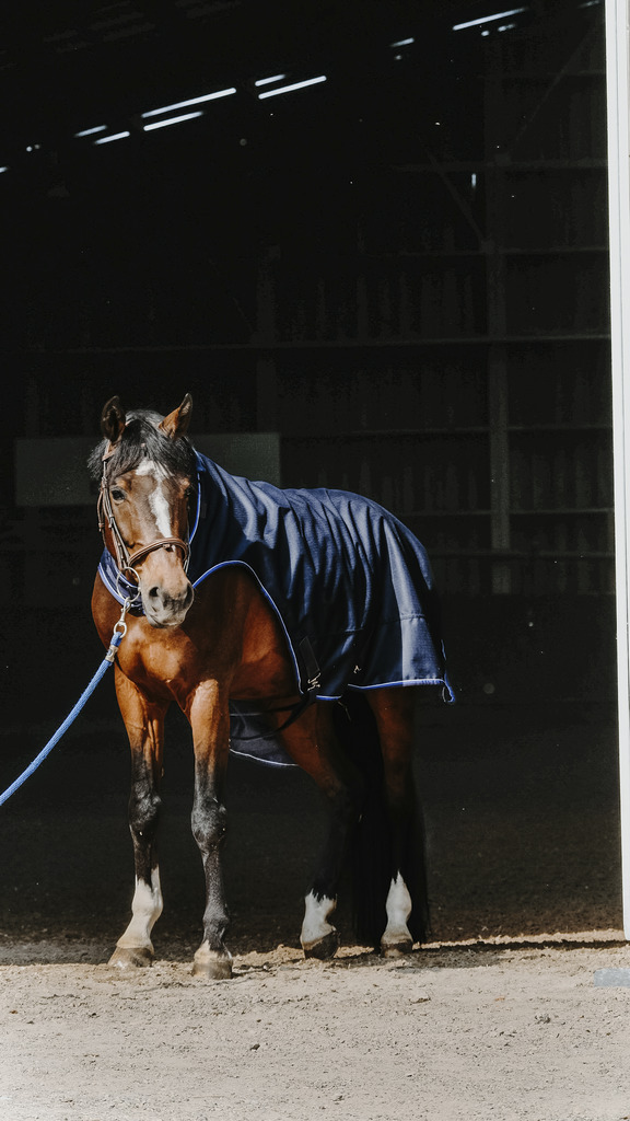 Chemise marcheur EQUITHÈME "Classic 1200D"