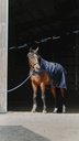 Chemise marcheur EQUITHÈME "Classic 1200D"