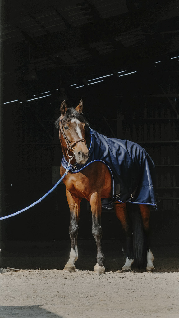 Chemise marcheur EQUITHÈME "Classic 1200D"