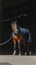 Chemise marcheur EQUITHÈME "Classic 1200D"