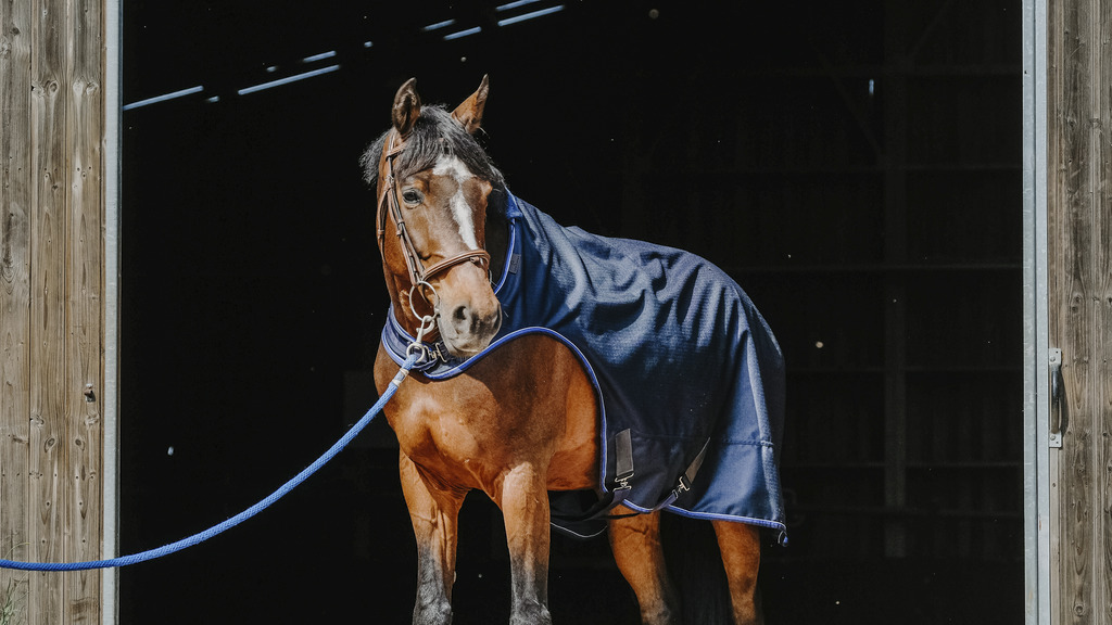 Chemise marcheur EQUITHÈME "Classic 1200D"