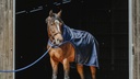 Chemise marcheur EQUITHÈME "Classic 1200D"