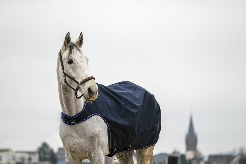 Chemise marcheur EQUITHÈME "Classic 1200D"