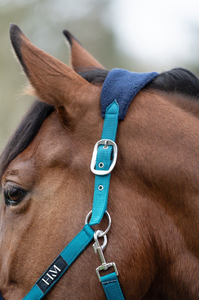 Set de licol mousqueton & fran - Pétrole/navy (9)