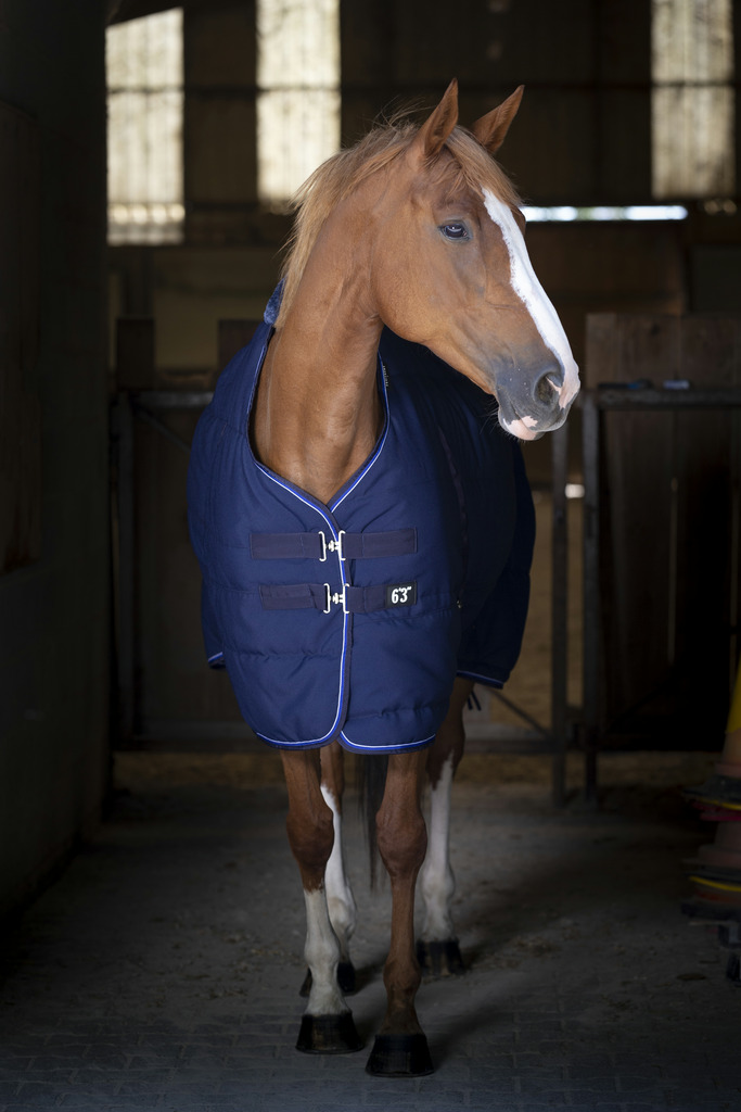 Couverture d'écurie EQUITHÈME, 0g