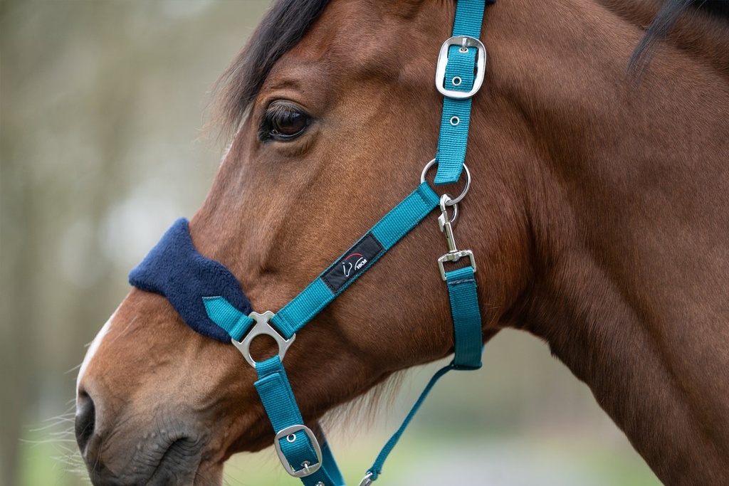 Set de licol mousqu. anti-p. f - Pétrole/navy (8)