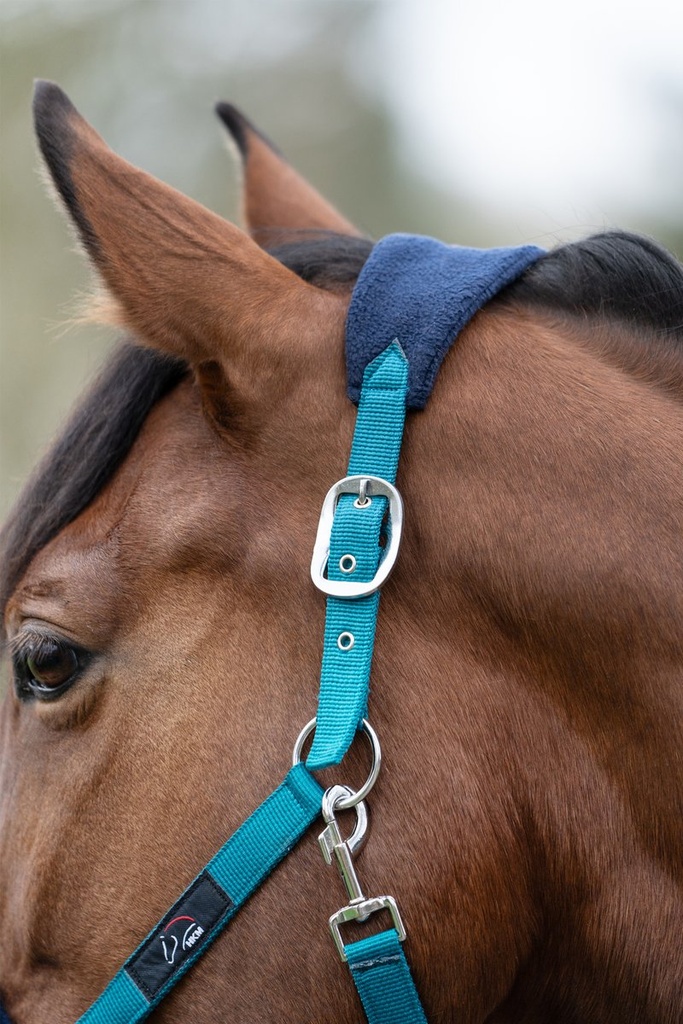 Set de licol mousqu. anti-p. f - Pétrole/navy (9)