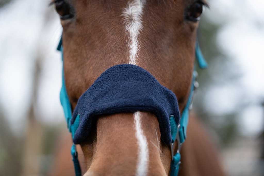 Set de licol mousqu. anti-p. f - Pétrole/navy (11)