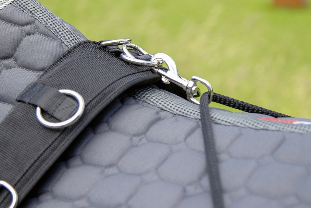 Système de Longe - Noir (4)