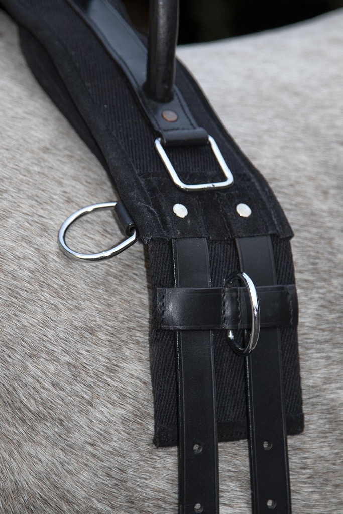 Surfaix -Canvas- avec poignée - Noir (3)