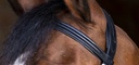 Bridon ERIC THOMAS HYBRID "Confort"