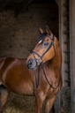 Bridon ERIC THOMAS HYBRID "Confort"