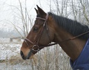 Bridon ERIC THOMAS HYBRID "Confort"
