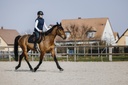 Gilet EQUITHÈME "Lina", femme