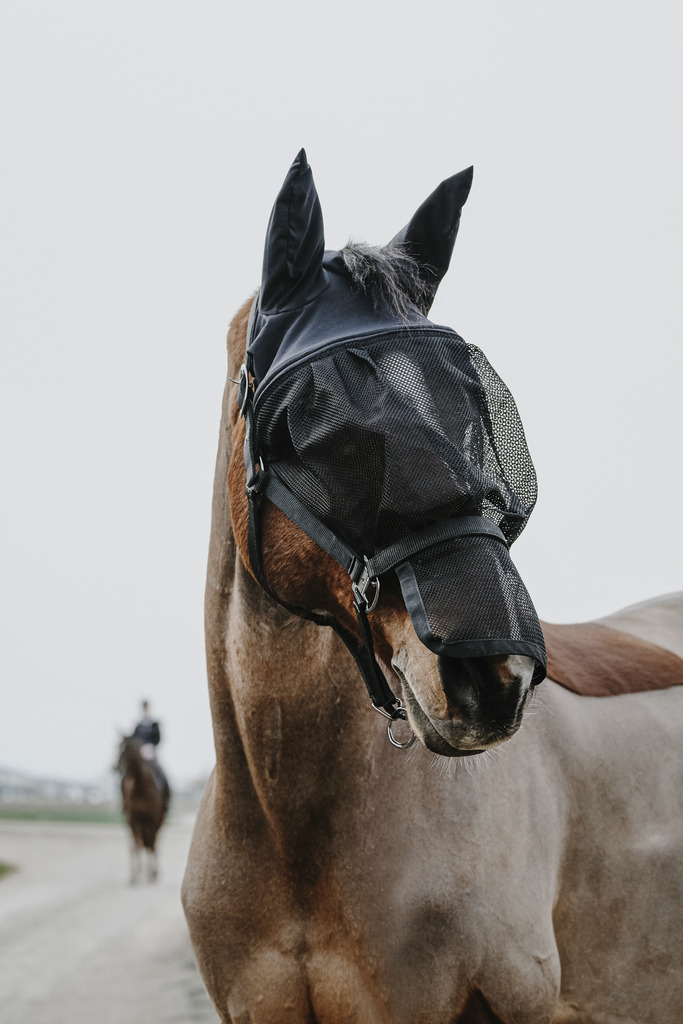 Licol + masque EQUITHÈME