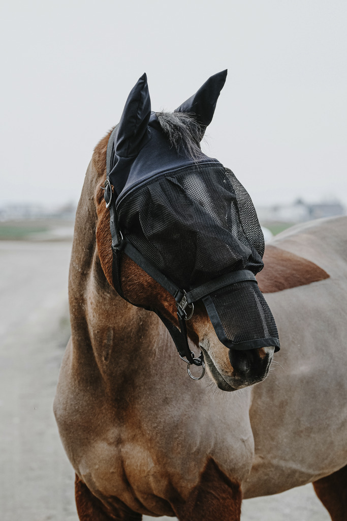 Licol + masque EQUITHÈME