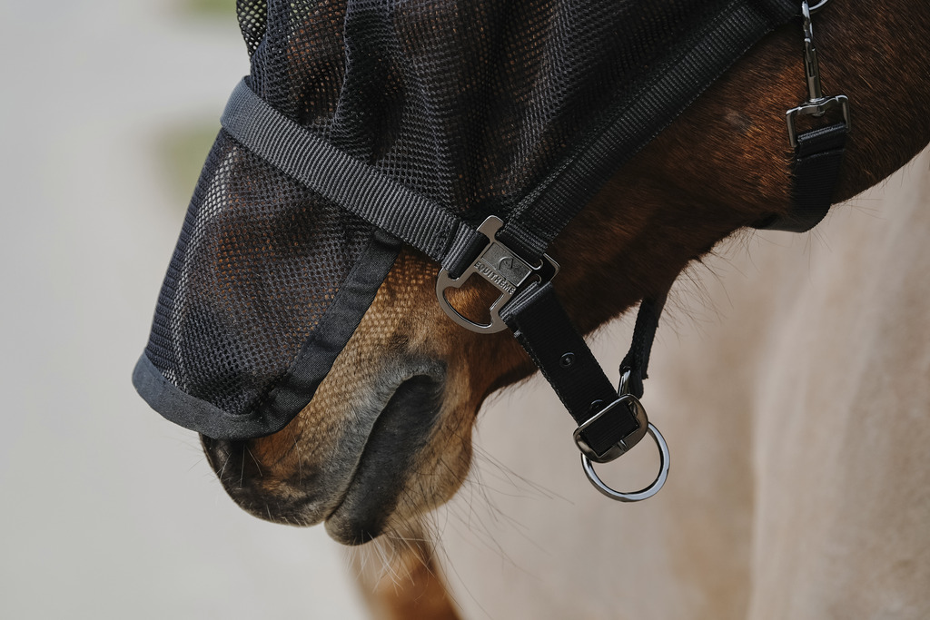 Licol + masque EQUITHÈME