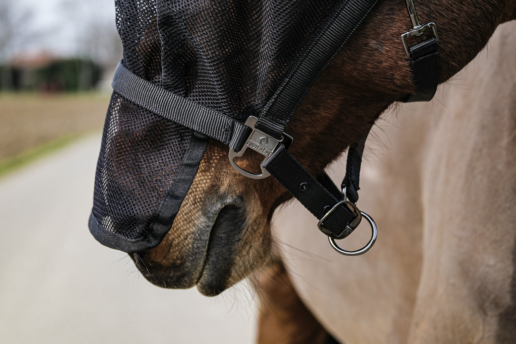 Licol + masque EQUITHÈME