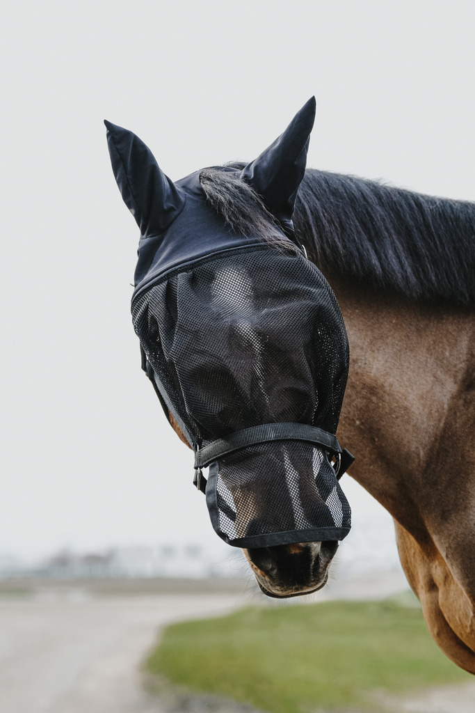 Licol + masque EQUITHÈME