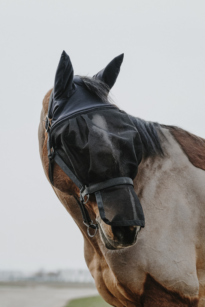 Licol + masque EQUITHÈME