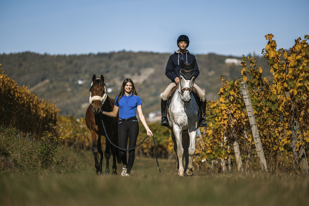 Polo EQUITHEME "Elodie" Manches courtes