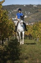 Polo EQUITHEME "Elodie" Manches courtes