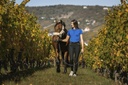 Polo EQUITHEME "Elodie" Manches courtes