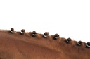 Élastiques à crinière HIPPOTONIC