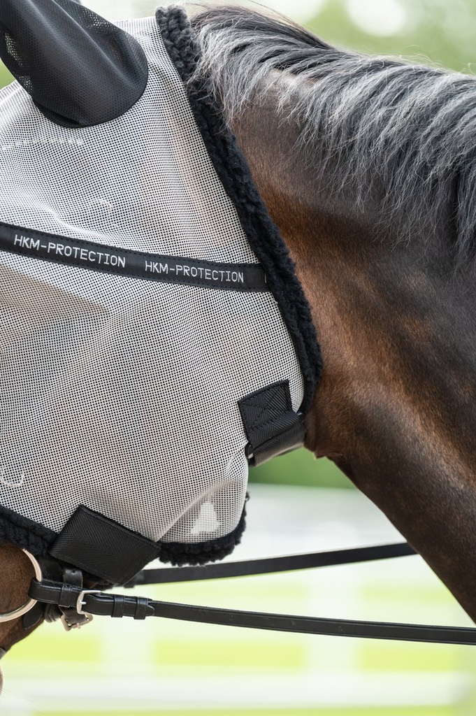 Masque anti-mouches, protectio - Argenté/noir (5)