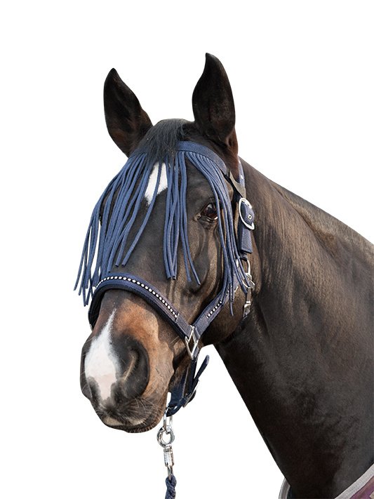 Frontal anti-mouches -Anti fly - Bleu foncé (2)