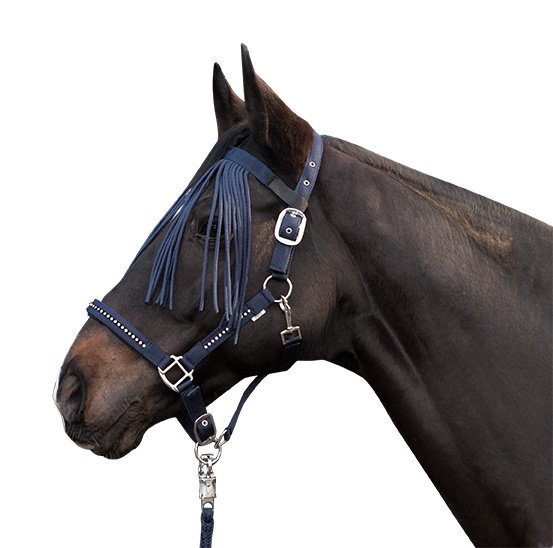 Frontal anti-mouches -Anti fly - Bleu foncé (3)