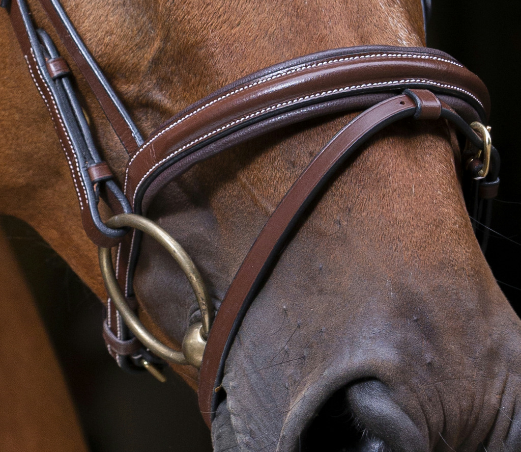 Bridon ERIC THOMAS PRO "Strass"