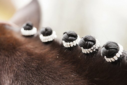 Elastiques à natter -Crystal- - Blanc (2)