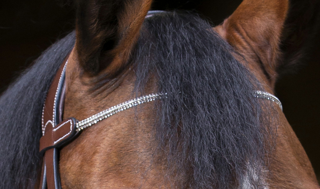 Bridon ERIC THOMAS PRO "Strass"