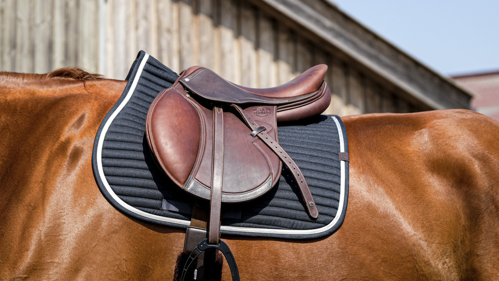 Tapis de selle EQUITHEME "Spring"