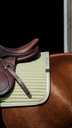 Tapis de selle EQUITHEME "Spring"
