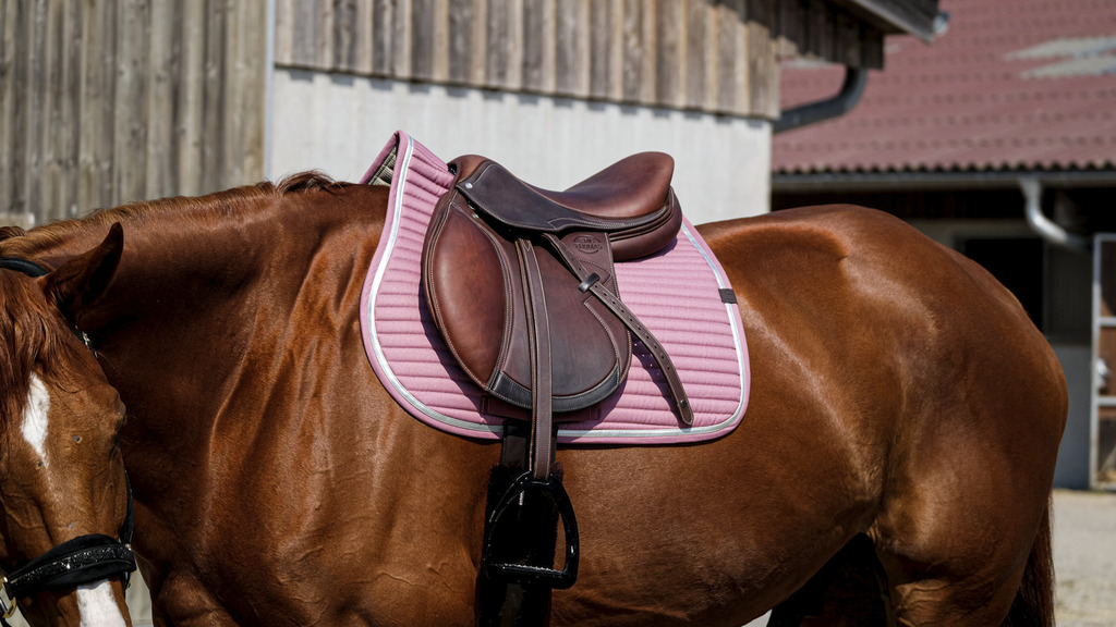 Tapis de selle EQUITHEME "Spring"